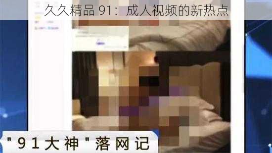 久久精品 91：成人视频的新热点