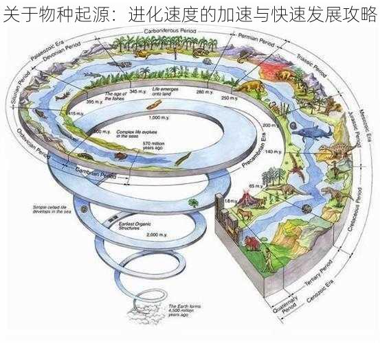 关于物种起源：进化速度的加速与快速发展攻略