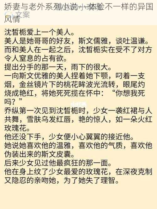 娇妻与老外系列小说——体验不一样的异国风情