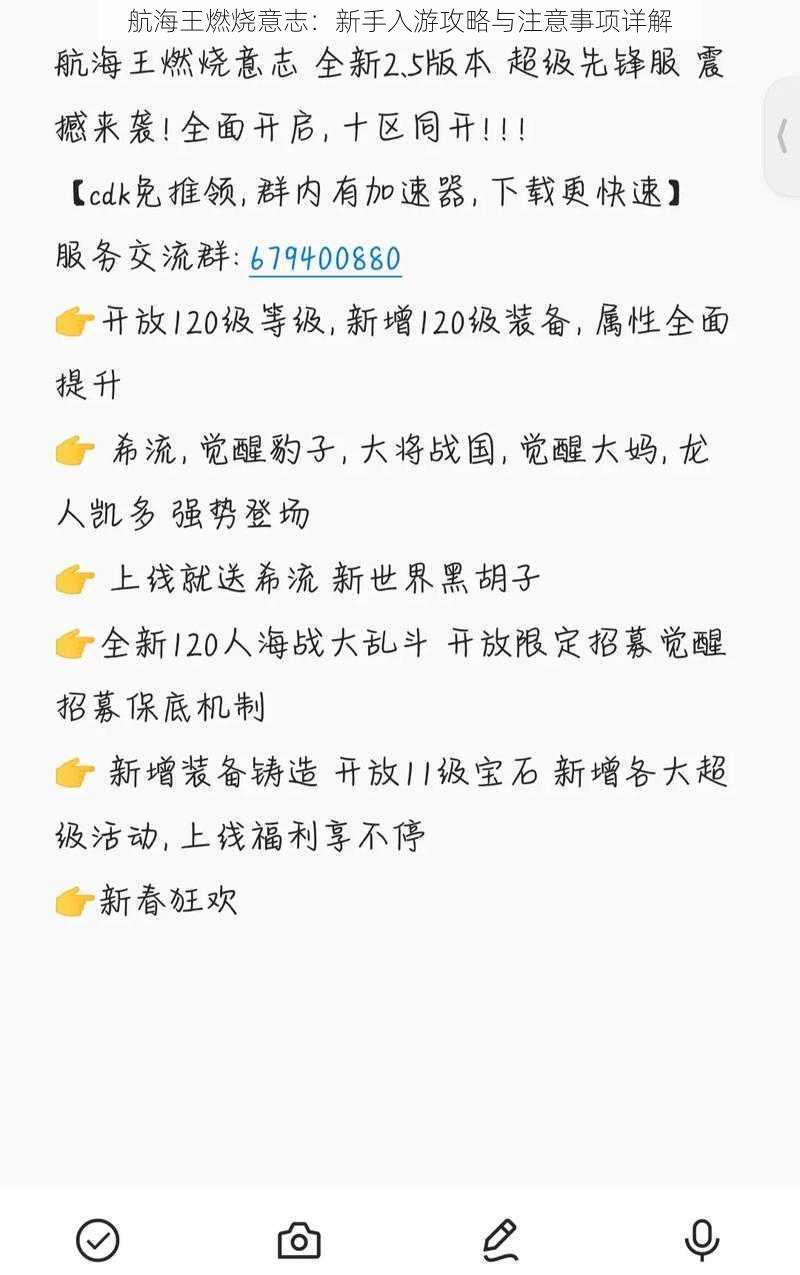 航海王燃烧意志：新手入游攻略与注意事项详解