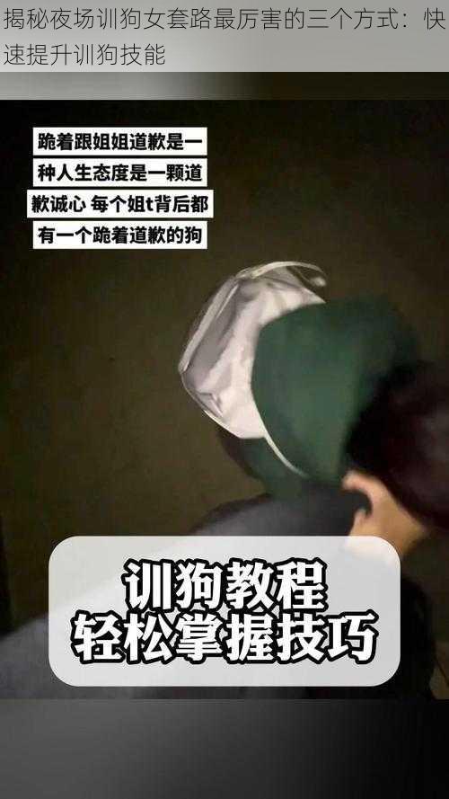 揭秘夜场训狗女套路最厉害的三个方式：快速提升训狗技能