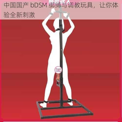 中国国产 bDSM 绑缚与调教玩具，让你体验全新刺激