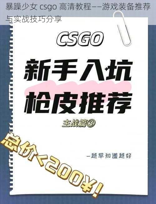 暴躁少女 csgo 高清教程——游戏装备推荐与实战技巧分享