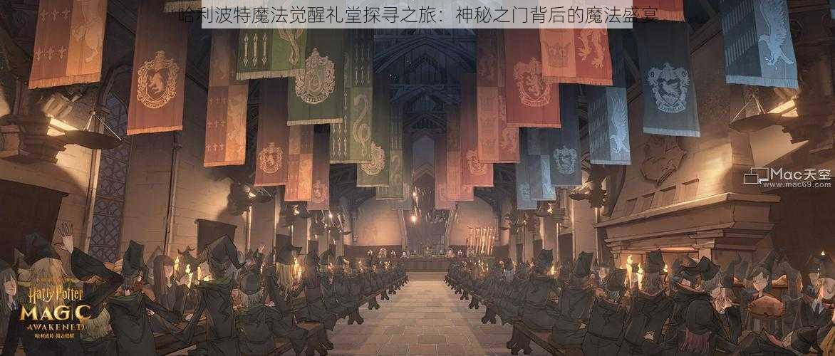 哈利波特魔法觉醒礼堂探寻之旅：神秘之门背后的魔法盛宴