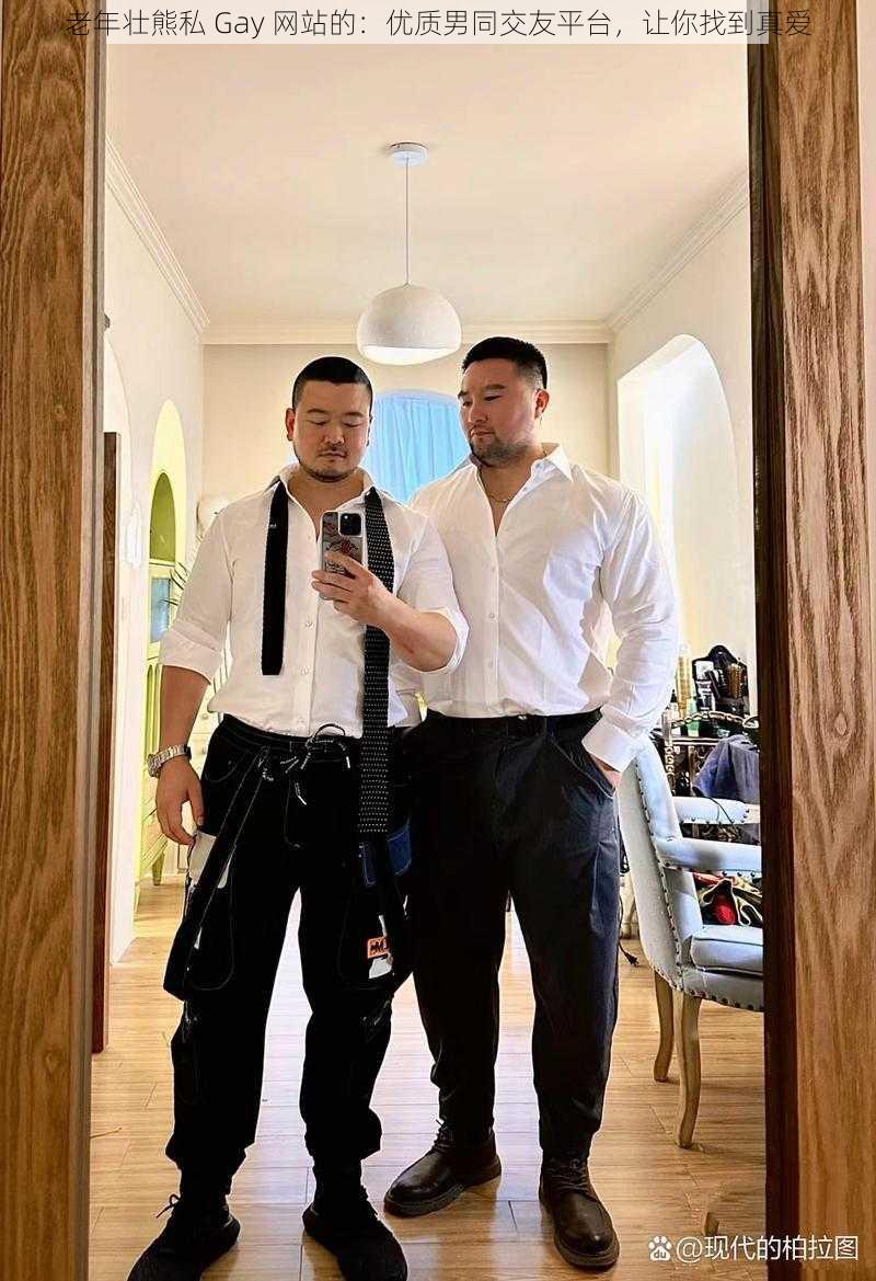 老年壮熊私 Gay 网站的：优质男同交友平台，让你找到真爱