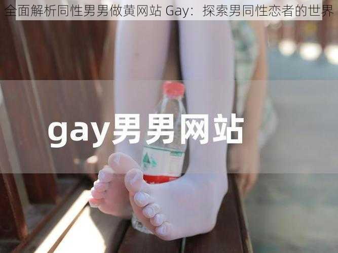 全面解析同性男男做黄网站 Gay：探索男同性恋者的世界