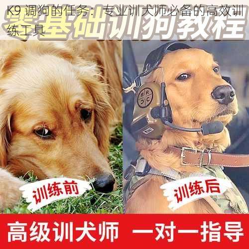 K9 调狗的任务：专业训犬师必备的高效训练工具