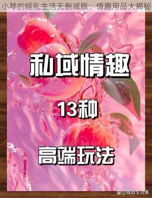 小琴的婬乱生活无删减版：情趣用品大揭秘