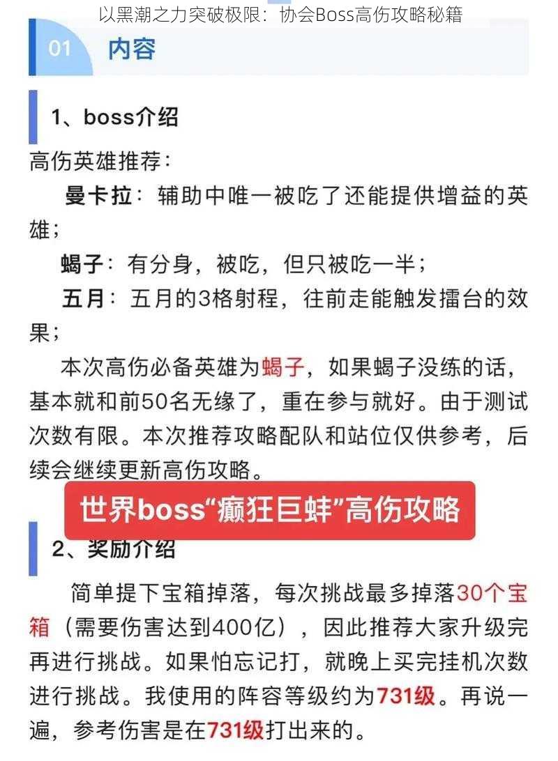 以黑潮之力突破极限：协会Boss高伤攻略秘籍