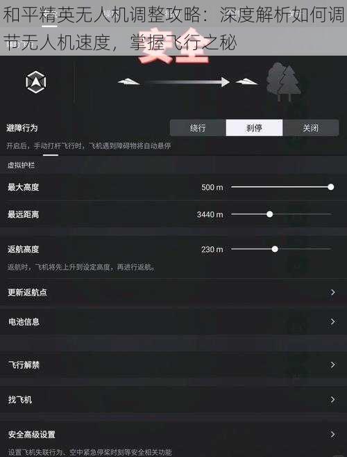 和平精英无人机调整攻略：深度解析如何调节无人机速度，掌握飞行之秘