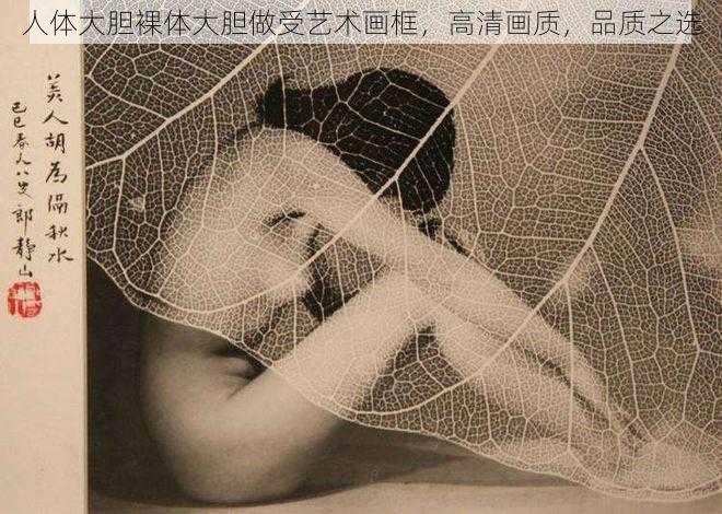 人体大胆裸体大胆做受艺术画框，高清画质，品质之选