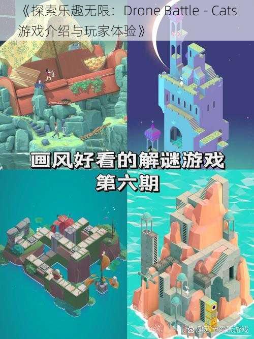 《探索乐趣无限：Drone Battle - Cats游戏介绍与玩家体验》