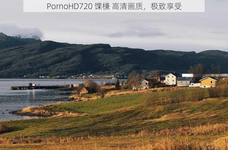 PornoHD720 馃槏 高清画质，极致享受